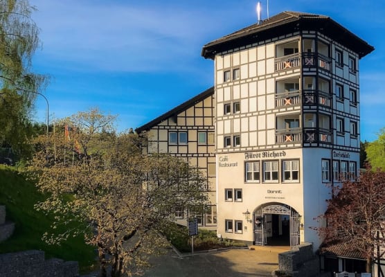 Dorint Resort Winterberg 1