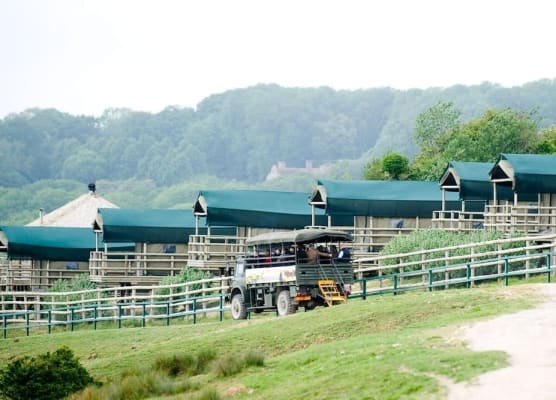 Port Lympne Reserve - Livingstone Lodge 1