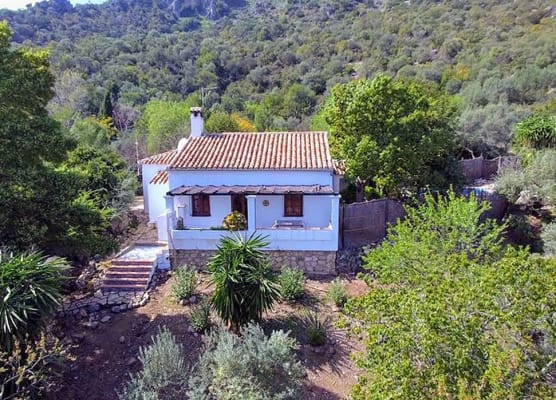 Casas Rurales Los Algarrobales 1