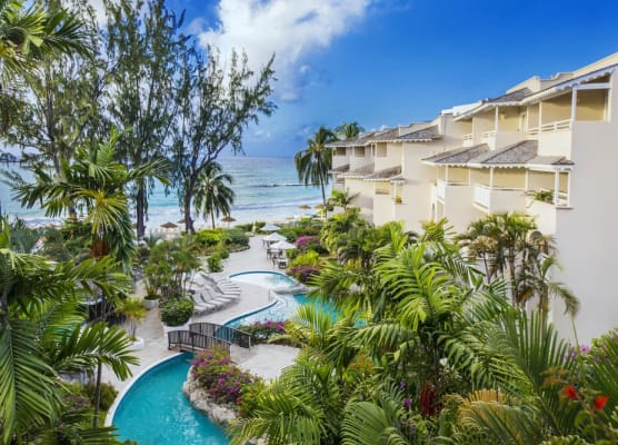 Bougainvillea Barbados 1