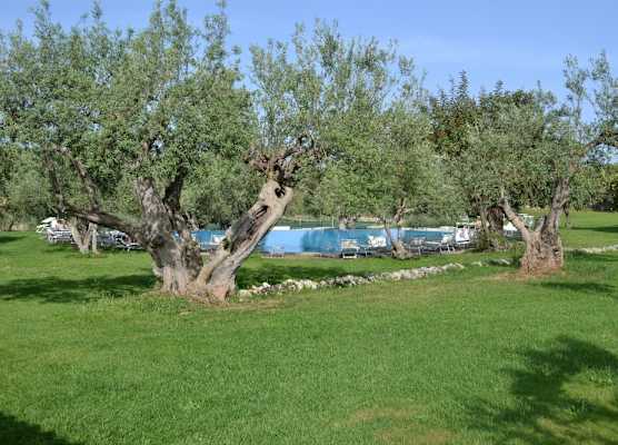 Masseria Degli Ulivi - Noto 1