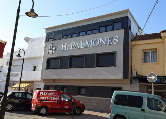 H.PALMONES 1