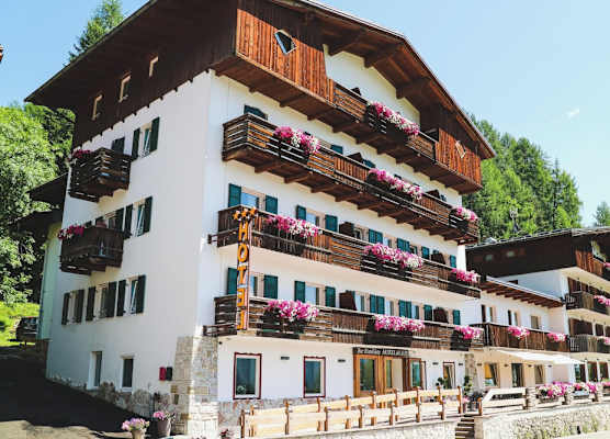 Hotel Des Alpes 1