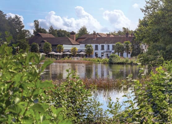 Frensham Pond Country House Hotel & Spa 1