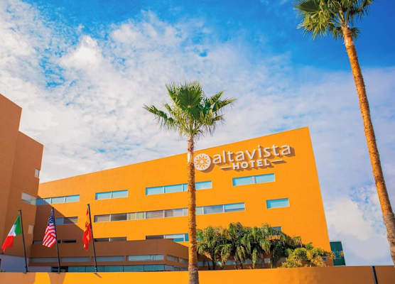 ALTAVISTA 1