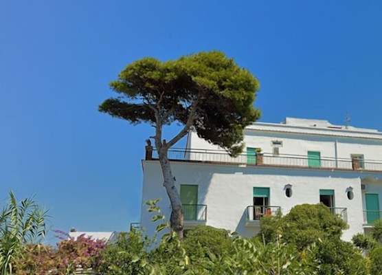 Hotel Riviera 1