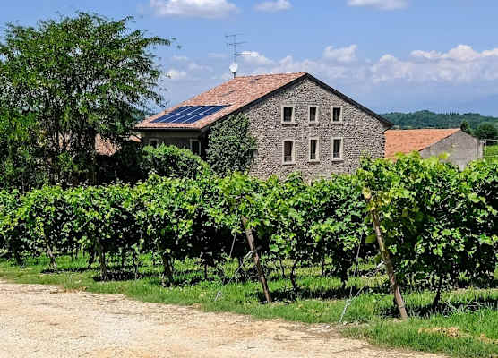 Seiterre Agriturismo Tenuta San Leone 1