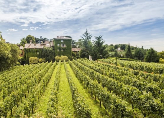 L'Albereta Relais & Chateaux 1