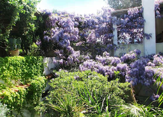 B&B La Salamandra Kitchengarden 1