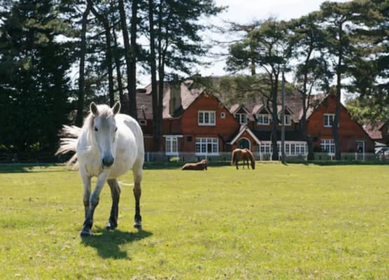 Beaulieu Hotel 1