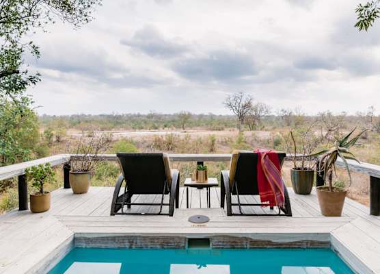 Thornybush Simbambili Lodge 1
