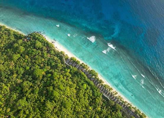 Niva Labriz Seychelles 1