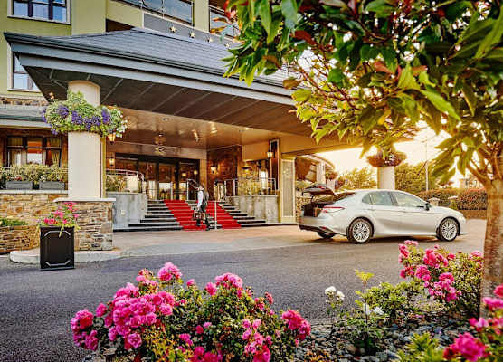 The Rose Hotel 1