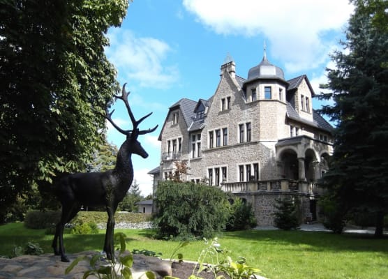Schlosshotel Stecklenberg 1