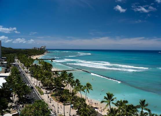 Aqua Aloha Surf Waikiki 1