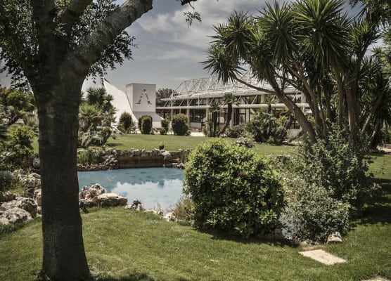 D'Aragona Lifestyle Hotel 1