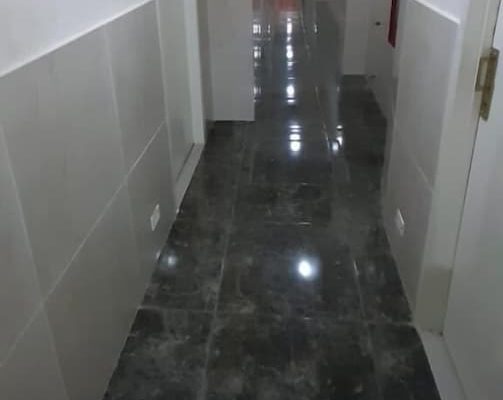 Centro1555 1