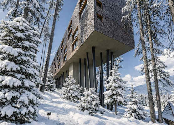 My Arbor - Dolomites 1
