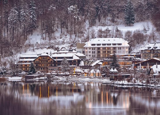 Waldhof Fuschlsee Resort 1