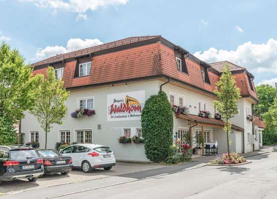 Mayers Waldhorn - zwischen Reutlingen und Tübingen 1