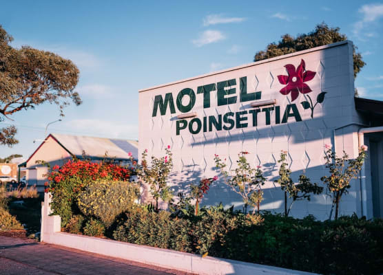 Motel Poinsettia 1