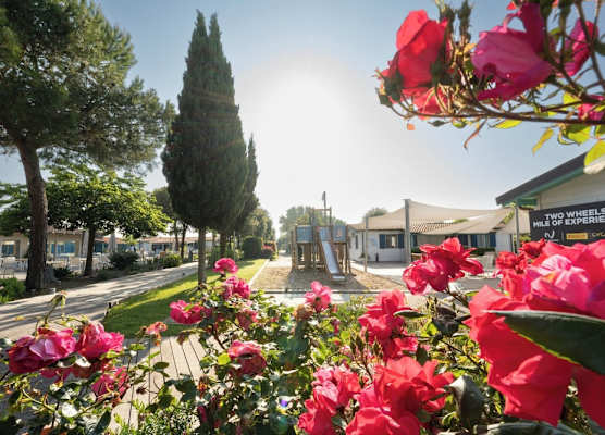 Natural Village Resort 1