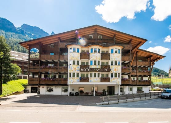 Hotel Alpe 1