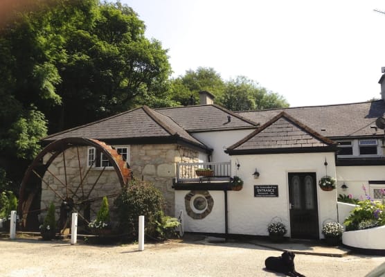 The Waterwheel 1