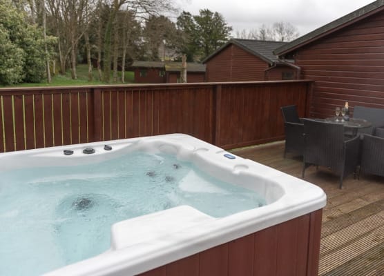 Birch Lodge 19 with Hot Tub 1