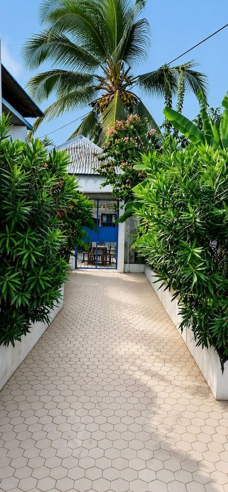 Lyon - Zanzibar, Tanzanie - primavera jambiani - Zanzibar, Tanzanie