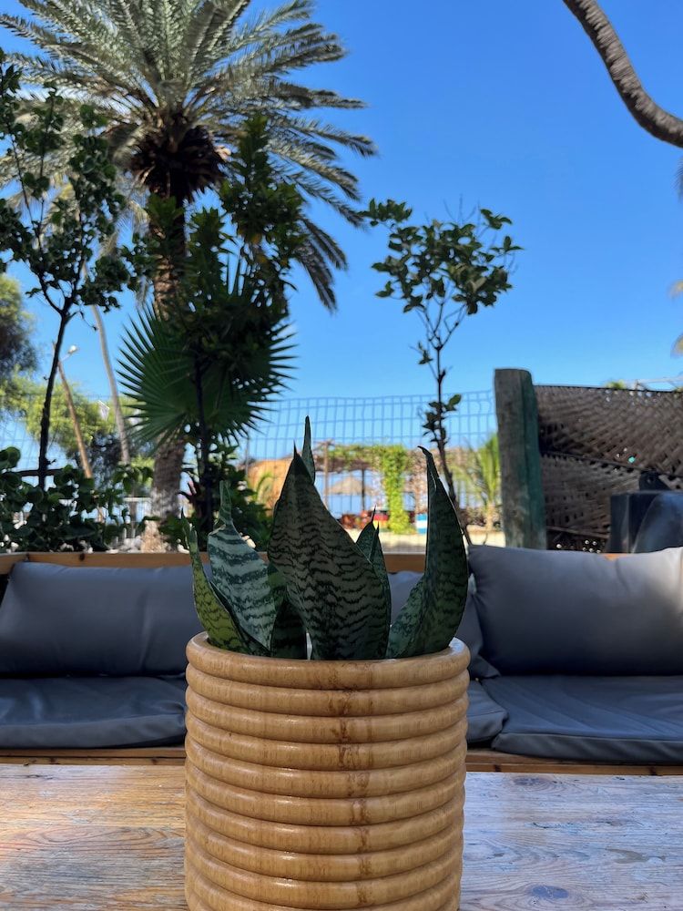 Marseille - Tarrafal, Île de Santiago - Baia Verde Resort Tarrafal - Tarrafal, Île de Santiago