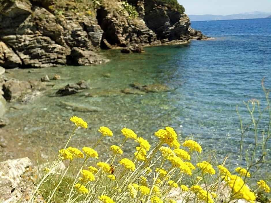 Nice - Capoliveri - Hotel Rio Sul Mare - Capoliveri