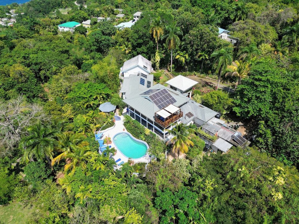 Marseille - Port Antonio - LF Jungle Retreat - Port Antonio