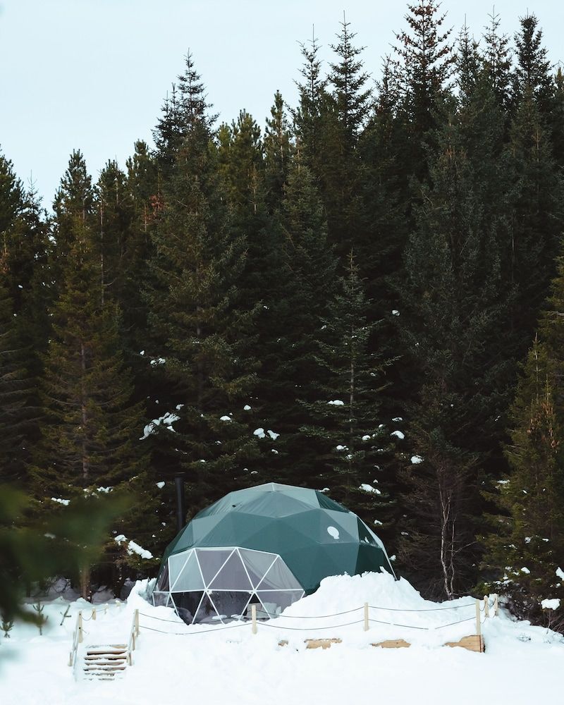 Bordeaux - Selfoss - Golden Circle Domes Glamping Experience - Selfoss