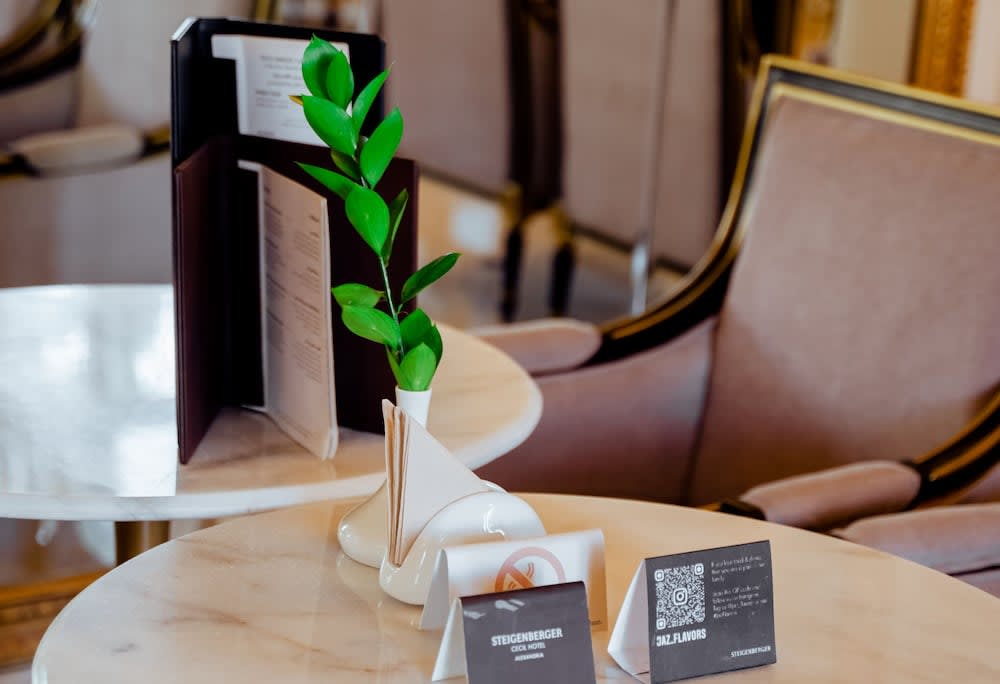 Steigenberger Cecil Hotel Alexandria 3