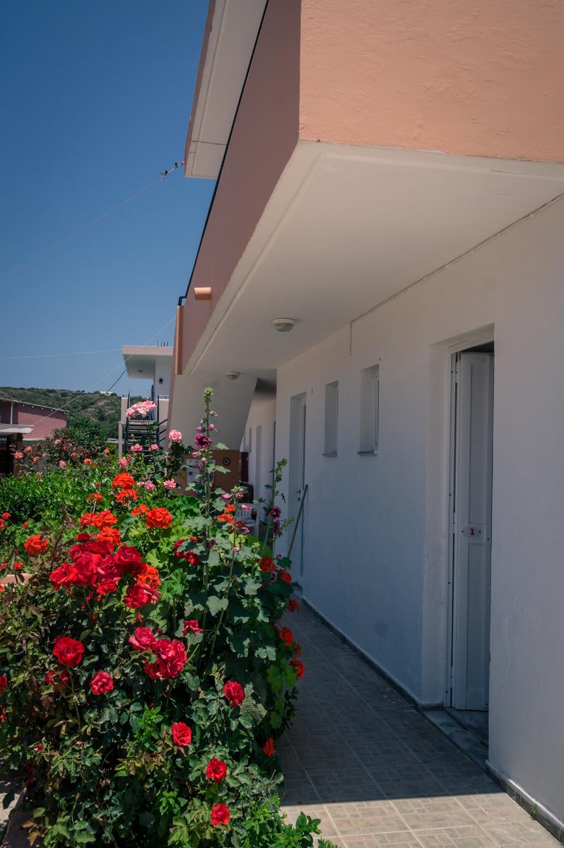 Kefalos Studios Anthoula 4