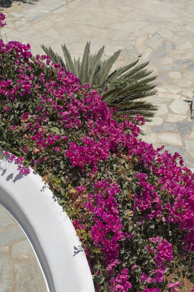 KAMEO, Antiparos 3