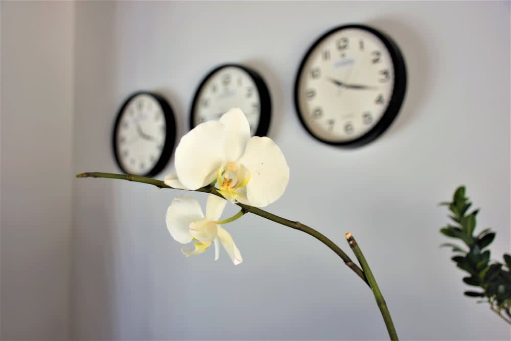 Modern Life Hotel Bodrum 3