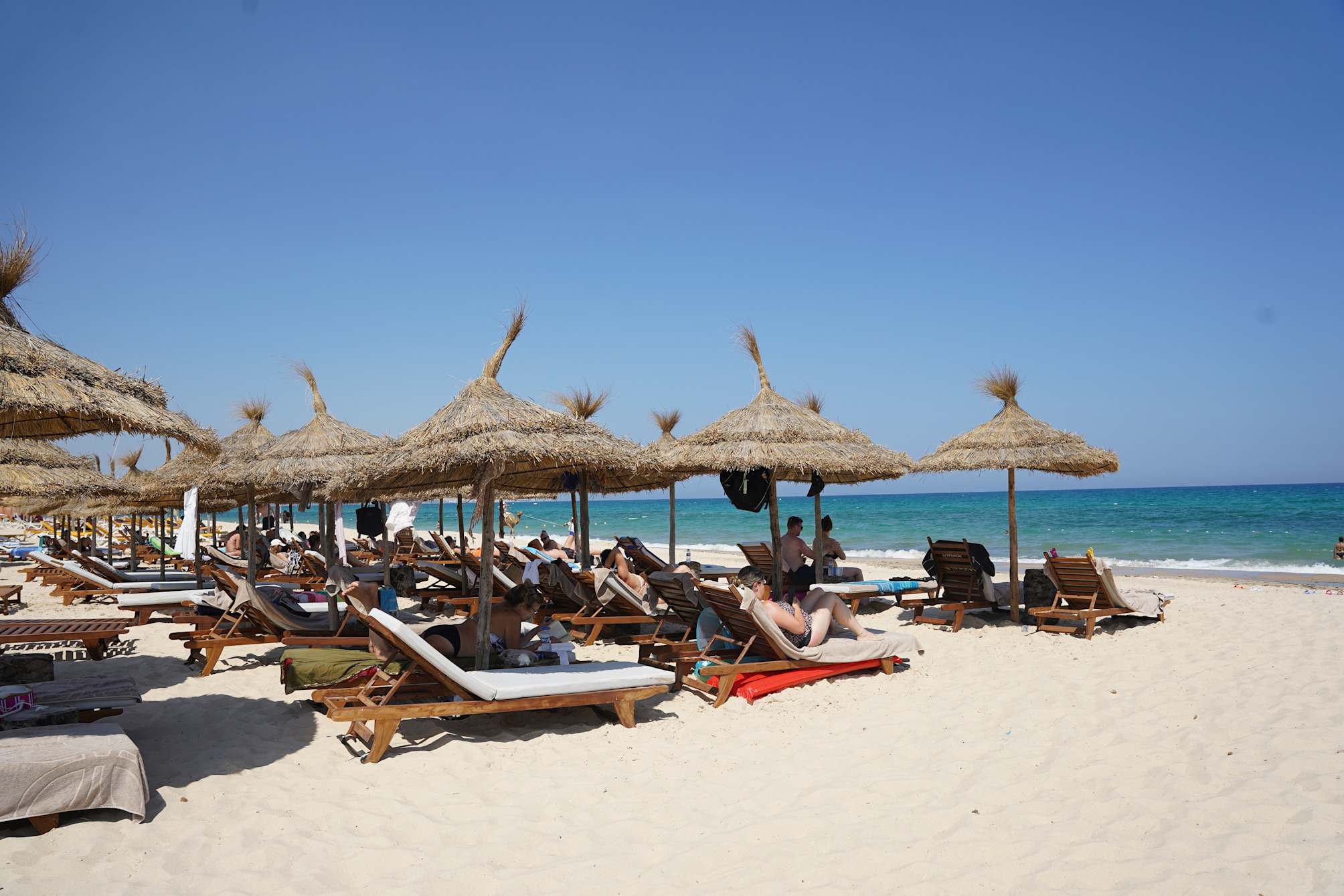 Sentido Marillia 3