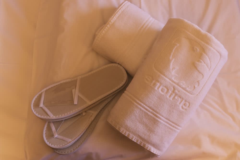 Style Hotel Grifone 4
