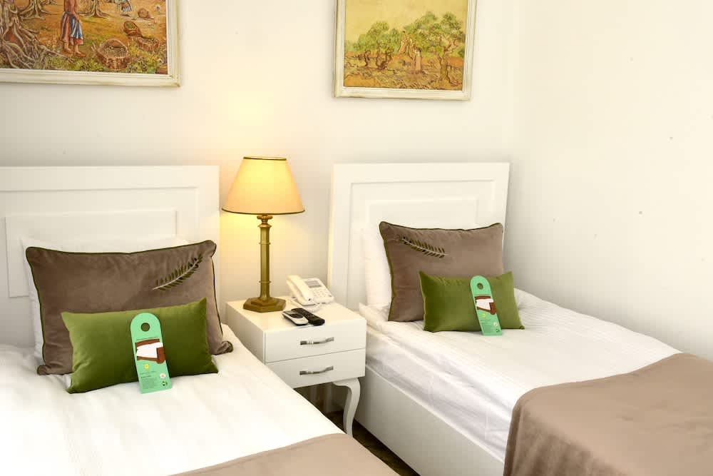 The Olive Tree Hotel 5