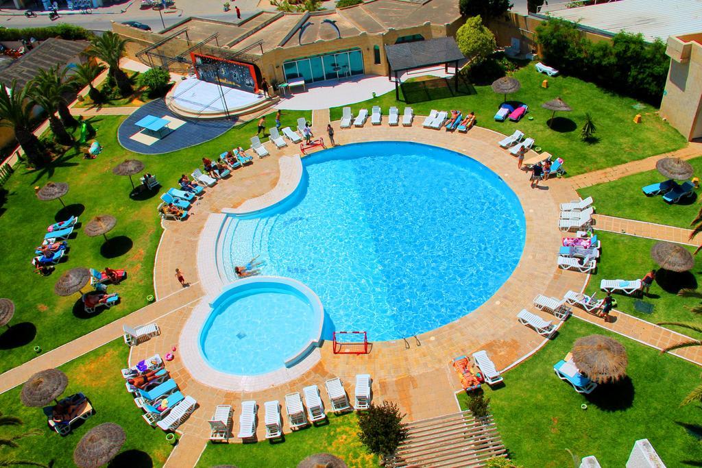 Delphin Ribat 4