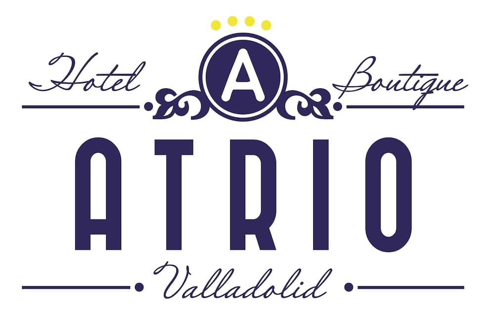 Hotel Boutique Atrio by anthology hoteles 4
