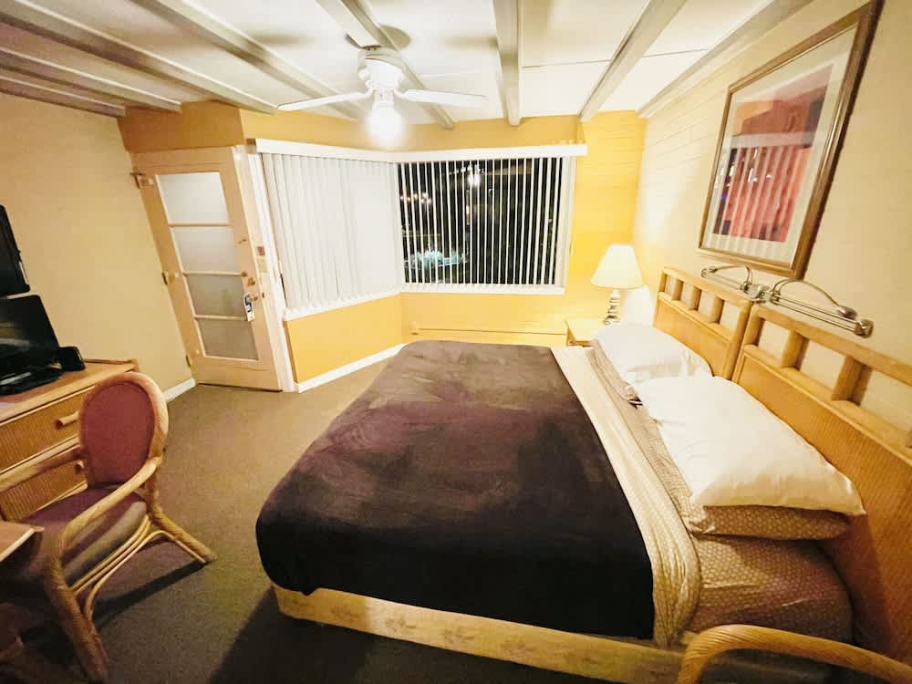 A PLACE IN THE SUN Hotel - ADULTS ONLY Big Units, 24h Heated Pool & Spa in 1 Acre Park Prime Location, DOG Friendly, TOP Midcentury Modern Boutique Hotel 5