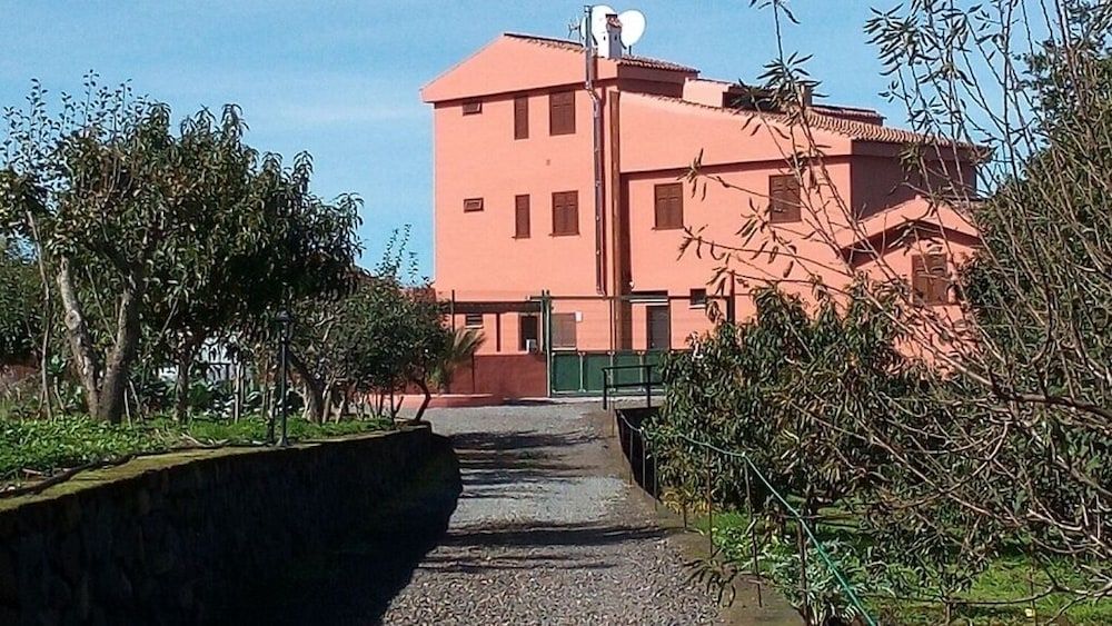 Paris - Tacoronte - Finca El Pastel - Tacoronte