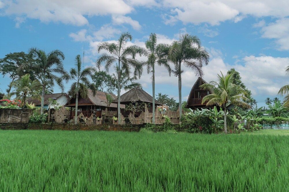 Paris - Tegalalang - Umadesa Villa Tegallalang Ubud - Tegalalang