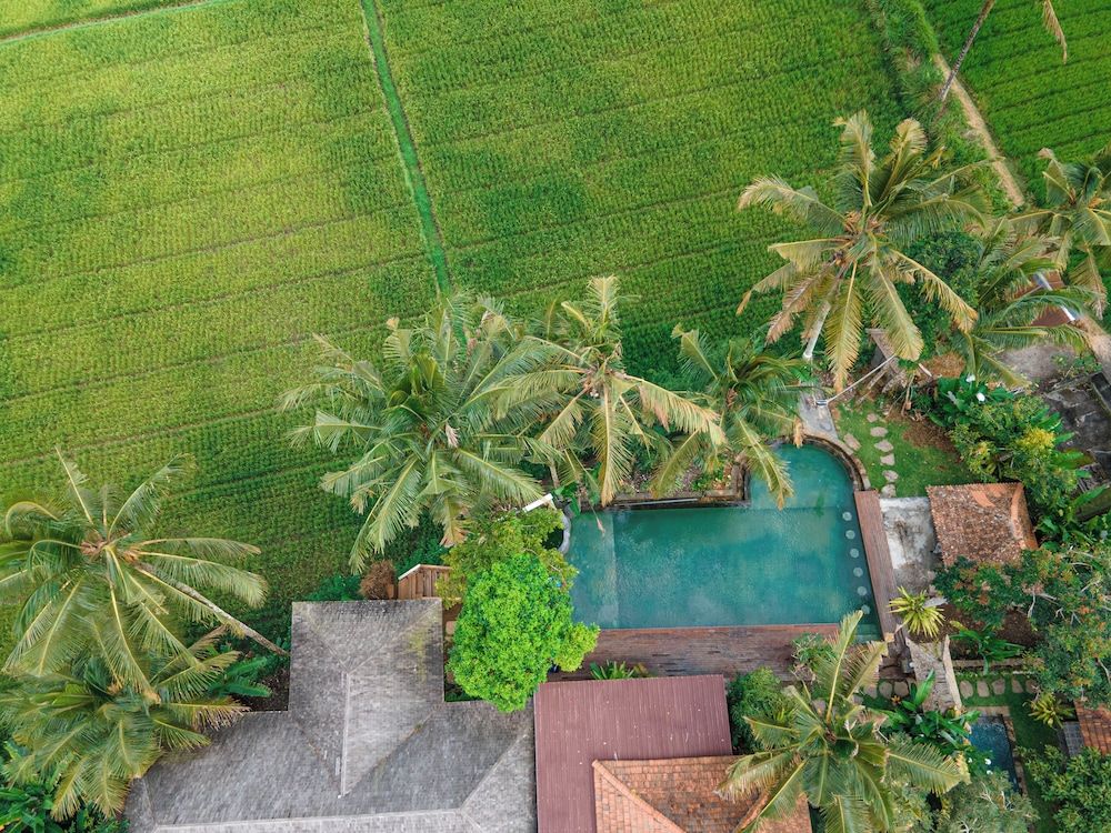 Paris - Tegalalang - Uma Linggah Resort by Puri Signatures - Tegalalang