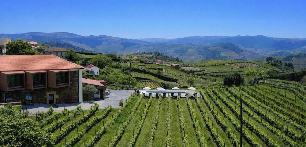Toulouse - Pinhão - Casa do Santo - Wine & Tourism - Pinhão
