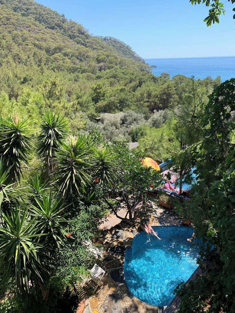 Bâle Mulhouse - Faralya - Turan Hill Lounge - Faralya