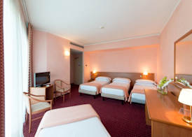Airport Hotel Bergamo 4